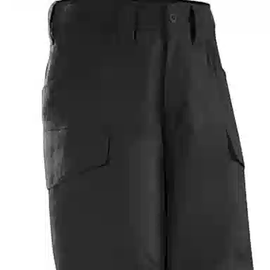Arcteryx Assault Pant AR