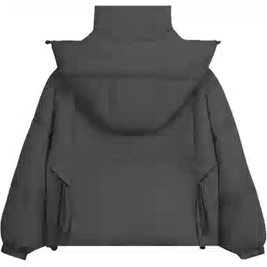 鸭鸭 短款时尚都市秋冬款小个子宽松保暖连帽鸭绒羽绒服 女款