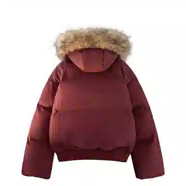 PAL ONGACO logocleanfit