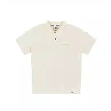 Dickies 25poloT DK0A885Q