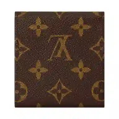 LOUIS VUITTON x Grace Coddington Catogram Monogram