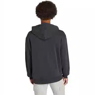 adidas originals Adicolor Outline Hoodie Logo
