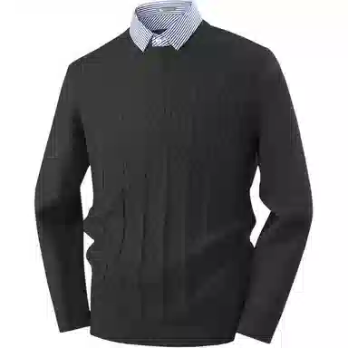 红豆 高克重假两件高档提花衬衫领保暖厚毛衣柔软打底衫上衣针织衫 男款