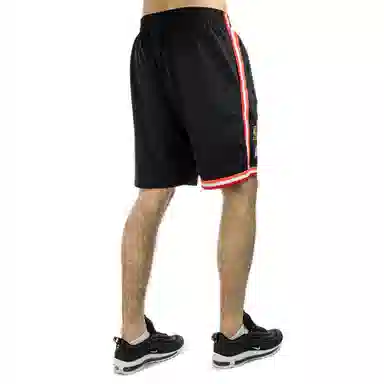 Mitchell Ness SW 96-97