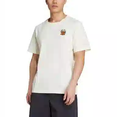 adidas Terrex POLYGIENE GRAPHIC T