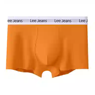 Lee 1