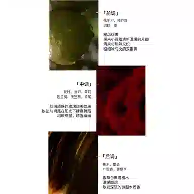 AMOUAGE Lyric Woman EDP 100ml