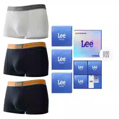 Lee 1.0 A10A 3