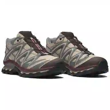 Salomon XT-Quest GTX Brown Grey