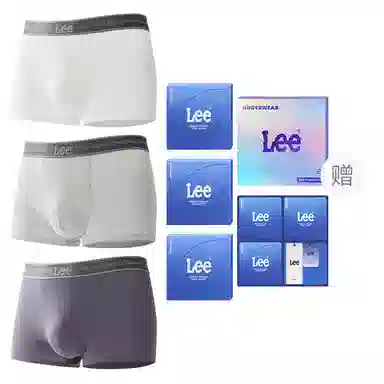 Lee 1.0 A10A 3