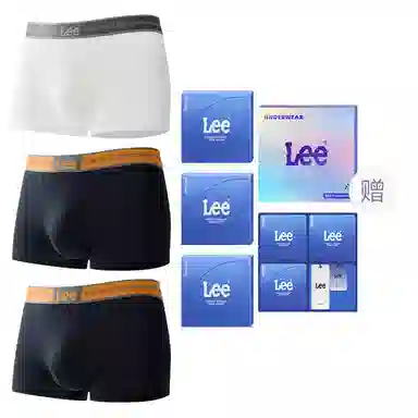 Lee 1.0 A10A 3
