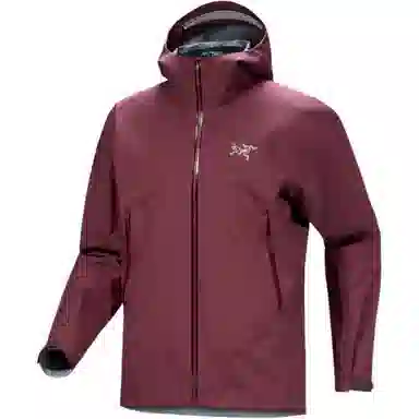 Arcteryx BETA gore-tex Logo