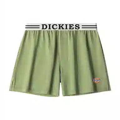 Dickies Arrow Shorts