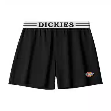 Dickies Arrow Shorts