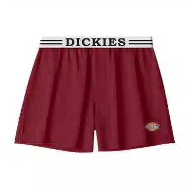 Dickies Arrow Shorts