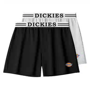 Dickies Arrow Shorts