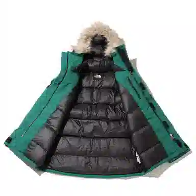 THE NORTH FACE GORE-TEX Logo