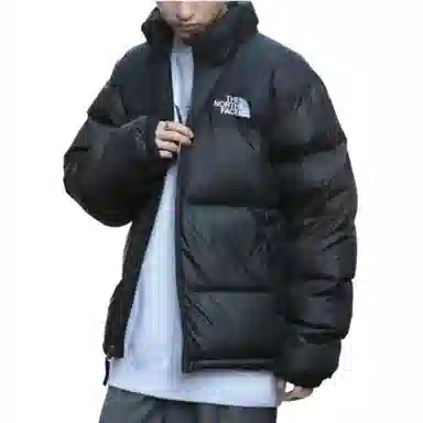 The North Face 1996 EcoNuptse Jacket