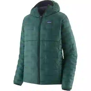 patagonia Micro Puff