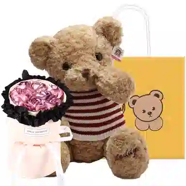 柏文熊 毛衣熊 泰迪熊 玩偶 毛绒公仔