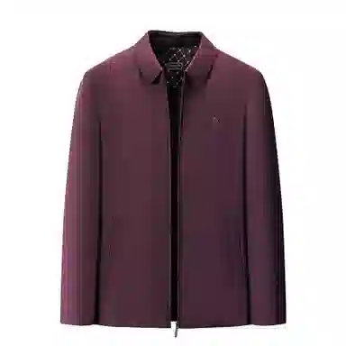 Pierre Cardin Down Jacket