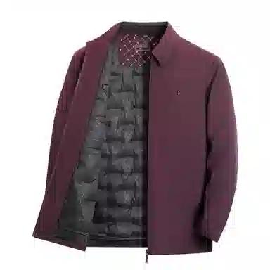 Pierre Cardin Down Jacket