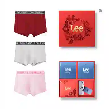Lee 3