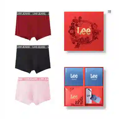 Lee 3