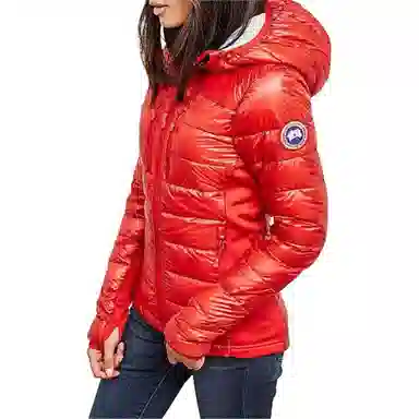 Canada Goose