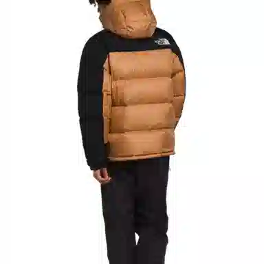 THE NORTH FACE