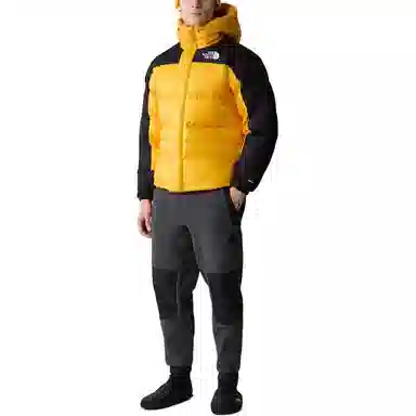The North Face HMLYN Down Parka Yellow
