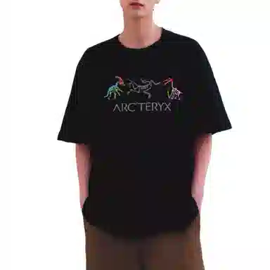Arcteryx T