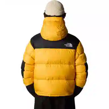 The North Face AW24