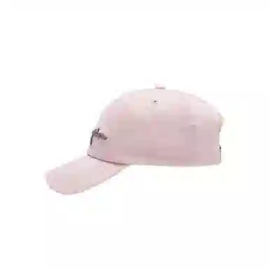 Champion Baseball Cap