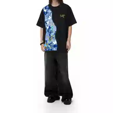 Arcteryx KRAGG logoT