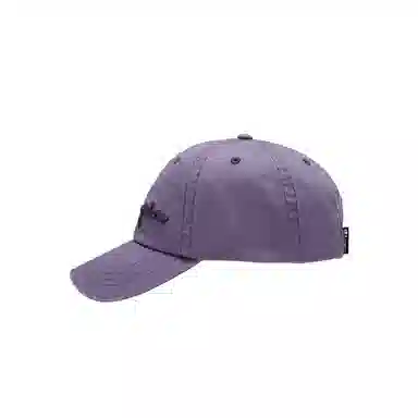 Champion Baseball Cap