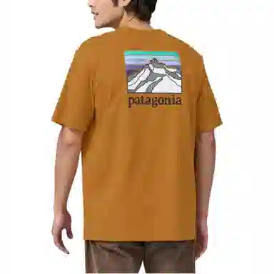 patagonia Responsibili-Tee Logo T