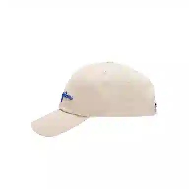Champion Baseball Cap