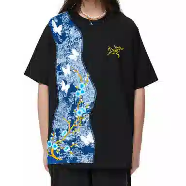 Arcteryx KRAGG logoT