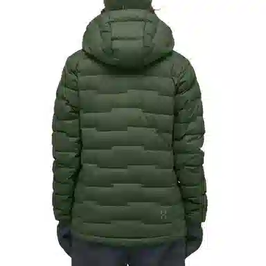 HAGLFS ROC Flash Down