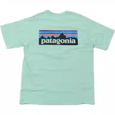Patagonia P-6 Logo T-Shirt
