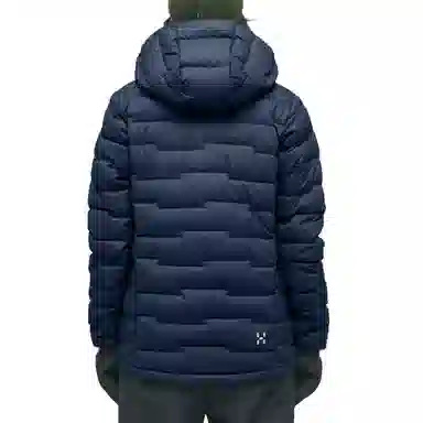 HAGLFS ROC Flash Down