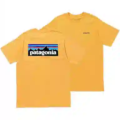 Patagonia P-6 Logo T-Shirt
