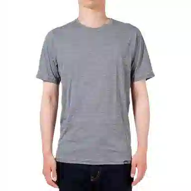 patagonia Capilene T