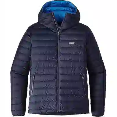 Patagonia Down Sweater