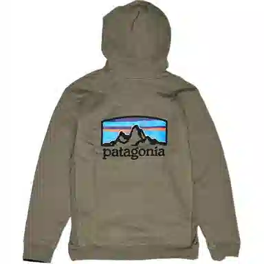 Patagonia Fitz Roy Logo Hoodie