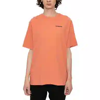 Patagonia P-6 Logo T-Shirt
