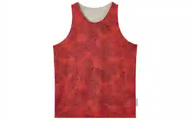 Nike Dri-FIT Standard Issue