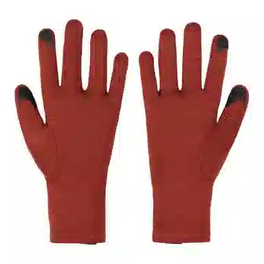 Arcteryx Gothic Glove Black