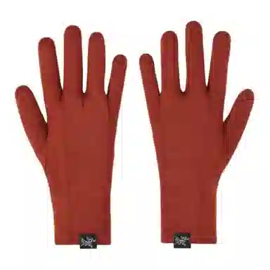 Arcteryx Gothic Glove Black